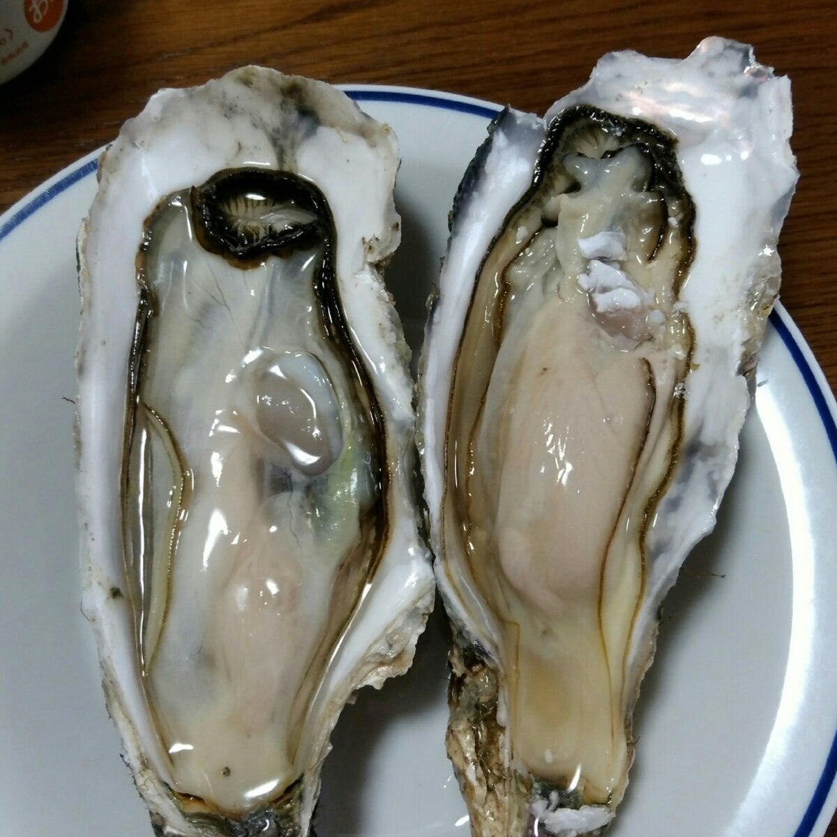 築地直伝生牡蠣の殻の剥き方 レシピ 作り方 By いもころママ 楽天レシピ 築地直伝生牡蠣の殻の剥き方 レシピ 作り方 By いもころママ 楽天レシピ